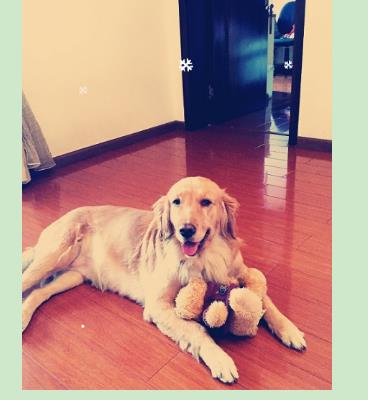 b体育:王广允新歌《Swag》首发 向独立唱作人之路进击(图1) b体育