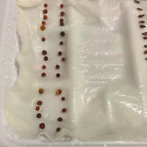 简单生活节初访成都,诠释“零压力”幸福“b体育”(图4) 必一