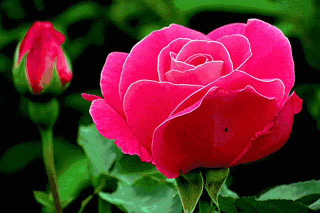 李斯丹妮新歌《Good morning》圣诞突袭 2017唱片发布完结“Bsports必一体育”(图2) Bsports必一体育