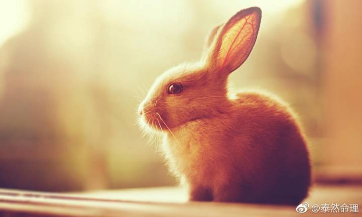 Bsports必一体育_魏晨两地跨年 奉双倍新年祝福浪漫温暖(图1) 必一