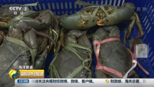 必一_《火云邪神之修罗面具》定档元旦《功夫》原班人马回归燃爆开年(图1) Bsports必一体育